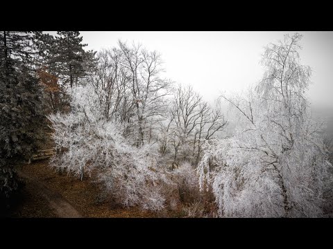 Winter Landscape Germany 4k/ Drone Film.