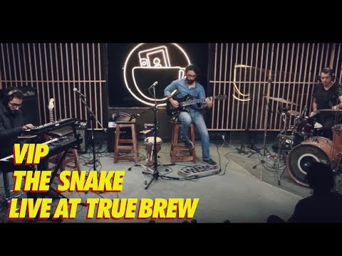 Live at True Brew // 9 // VIP - The Snake