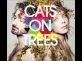 Cats On Trees - Jimmy 