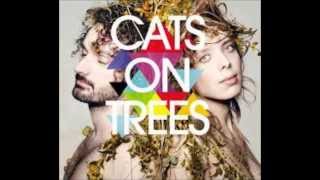 Cats On Trees - Jimmy
