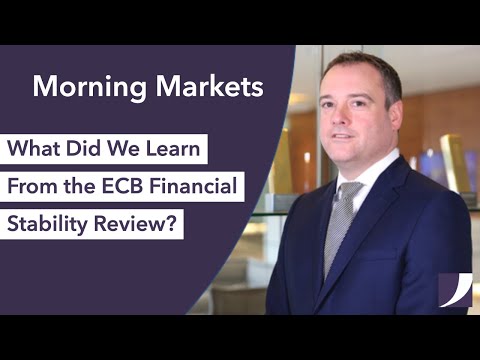 What Did We Learn From the ECB Financial Stability Review? | Morning Markets