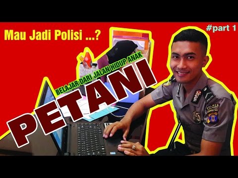 Obat untuk meningkatkan potensi pada wanita Ulasan 3d torus