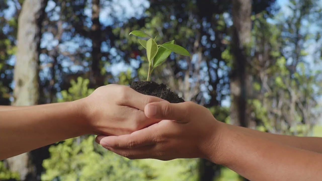 [Semana Laudato Si’ 2026 | #01]