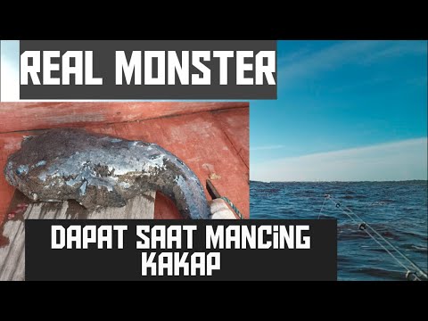 100� is the Goal. White snapper fishing gets real monstee fish