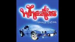 Wheatus- Teenage Dirtbag (Audio)