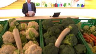 preview picture of video 'Schweizer Gemüse aus Gen-Labor. Test Rechtsschutz-Versicherungen.'