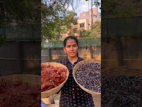 Solar dried veggies | Vaaradhi Farms | Nethra
