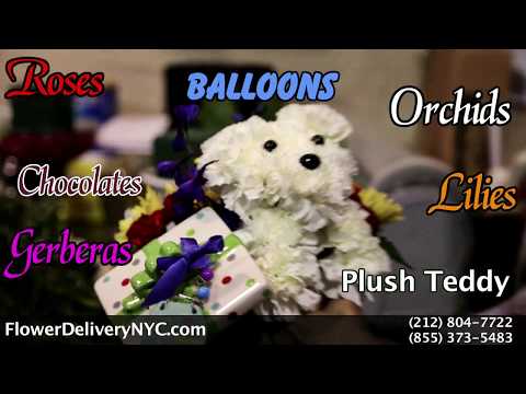 download lagu mp3 mp4 Send Flowers Nyc, download lagu Send Flowers Nyc gratis, unduh video klip Send Flowers Nyc