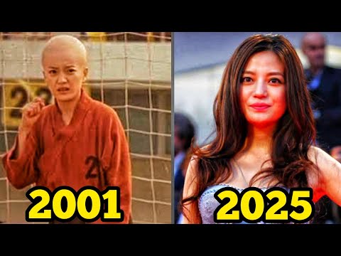 Shaolin Soccer Cast Then and Now 2025