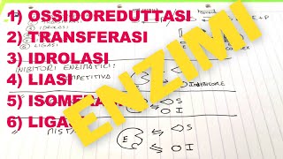 Enzimi Biochimica - Tipologie e classi