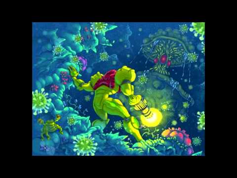 Super Metroid Music- Upper Brinstar (Green area) Remix