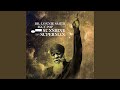 Sunshine Superman (Radio Edit)