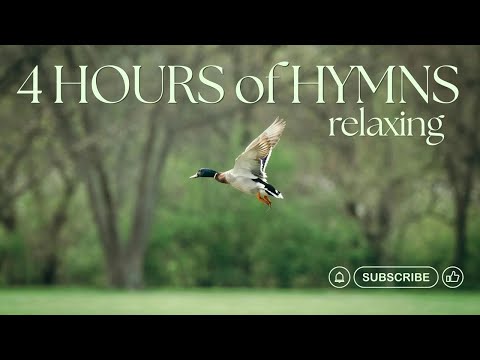 FOUR Beautiful Hours of Hymns! #relaxing #soothing | Chris Allman sings the Hymns!