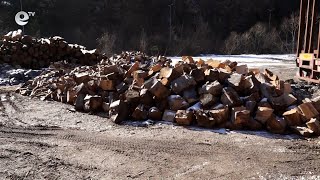 Започна приемът на заявления за снабдяване с дърва за огрев в Смолян