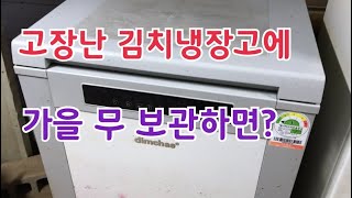 고장난 김치냉장고에 가을 무 보관 하였더니? / 가을 무 땅에 묻는거보다 더 좋은 방법