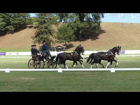 19 CASSOTTANA Luca, ITA, FEI WCH M A 4, Pratoni del Vivaro ITA, Part of Dressage, 23 09 2022