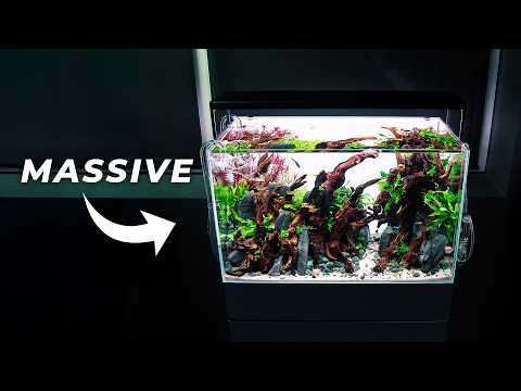 How to Make a 60P Aquarium Look MASSIVE with Tiny Details