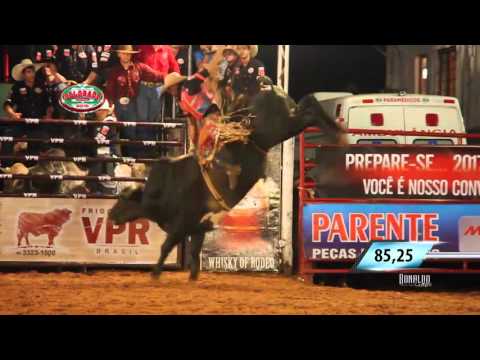 Colorado Rodeo 2016 - CHAMPION