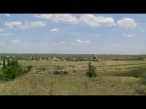 Точёк Бакфаст с высоты птичьего полёта!!!