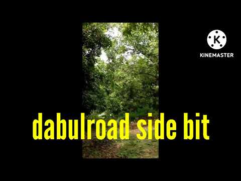 13 acr highway  beside 1acr 27 lacks mango🥭 garden 9390955909  9014368628