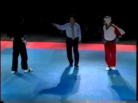 Adrian Galvin vs Alex Dingmann 2005 Battle of Atlanta Karate Tournament