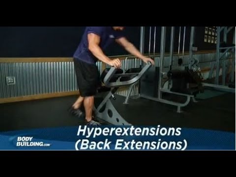 Hyperextensions (Back Extensions) - Core / Back Exercise - Bodybuilding.com