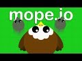 AMAZING New BALD EAGLE ANIMAL! - Mope.io Gameplay