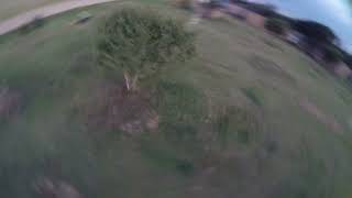 1 Tree and 3 Pony Sunset Freestyle FPV in South Africa
