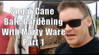 The Sugar Cane Bale Garden by Marty Ware Part 1