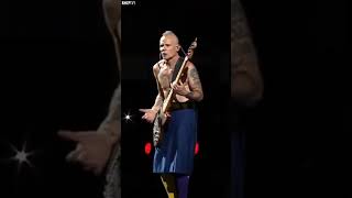 Download lagu Flea Couldn’t Resist Slapping the Bass… And Laughs! 😂🤣 #Shorts #Flea #RedHotChiliPeppers mp3 Download lagu Flea Couldn’t Resist Slapping the Bass… And Laughs! 😂🤣 #Shorts #Flea #RedHotChiliPeppers mp3
