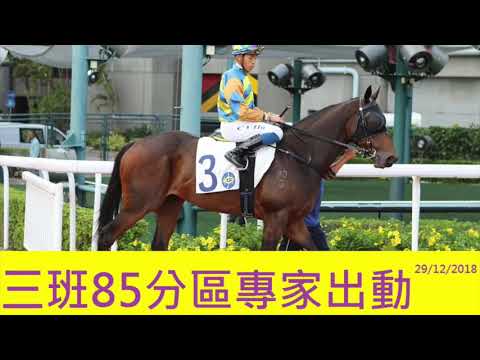 (GM賽馬) - 三班85分區專家出動