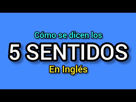Los 5 SENTIDOS en inglés: Cómo se dicen?