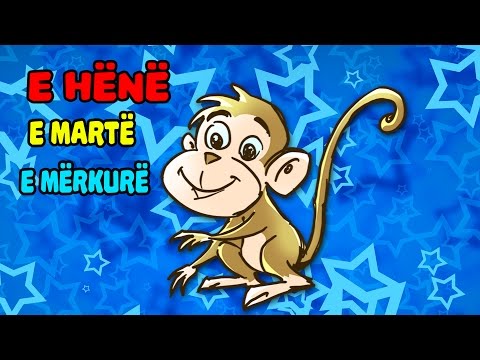 Ditet e Javes  Shqip | Bleta