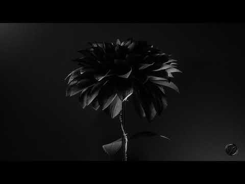 Blosso & BVLVNCE - One Way Down