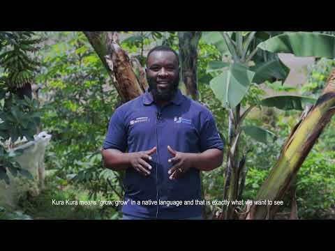 The Kura Kura Initiative: Refugee Resilience with Regenerative Agriculture