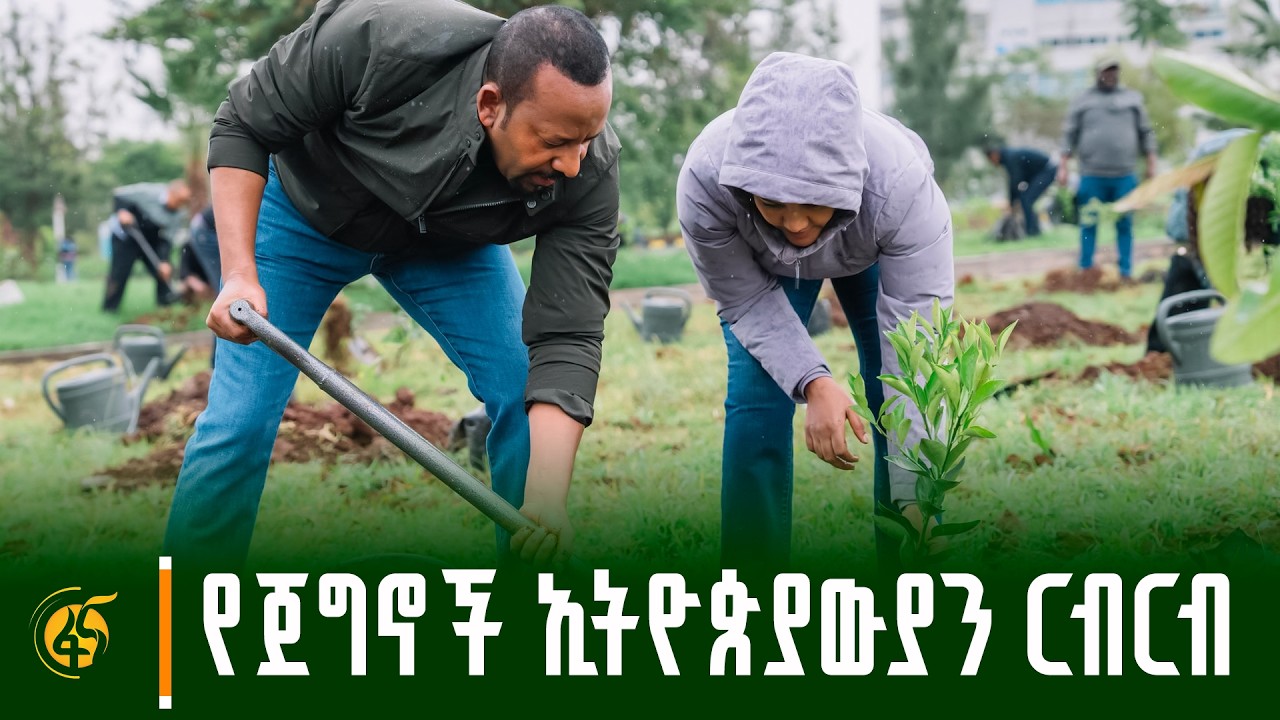 ጠቅላይ ሚኒስትር ዐቢይ አሕመድ (ዶ/ር) የአንድ ጀምበር የችግኝ ተከላ መርሐ ግብር ላይ ?