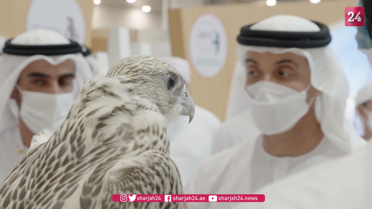 صورة بعنوان: Youtube Image