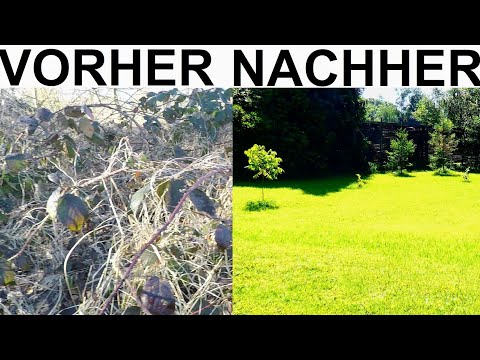 RASEN ANLEGEN, MÄHEN FRÄSEN PLANIEREN EINSÄEN DETAILANLEITUNG HANDARBEIT,GARTENBAU RICHTIG,WIESE NEU