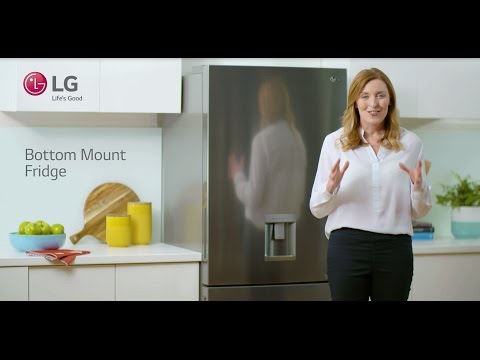 Šaldytuvas LG GBB71PZDMN