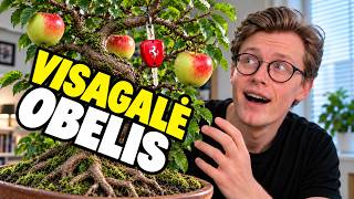 Visagalė obelis | PASAKA visiems apie prarastą saiką