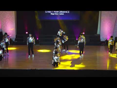 D.D.Team | DSL | Feel The Beat | Street Perfomance Mega Crew | Juniors