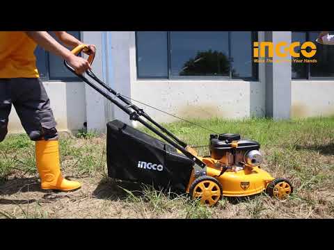 How to use Ingco Petrol Lawn Mower 141CC