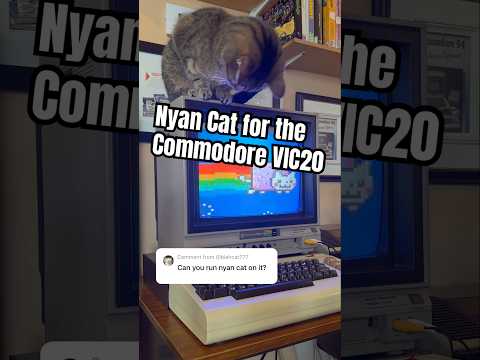 Nyan Cat for the Commodore VIC20 by ​⁠@javiergonzalez7104 #retrocomputing #meme #nyancat #asmr