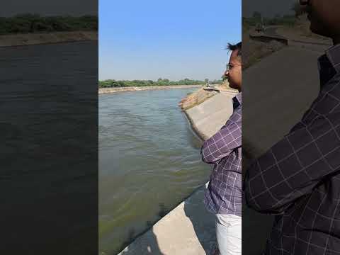 Canal 📍Changa (Thara), Gujarat 🇮🇳 | Agriculture | Water | Narmada
