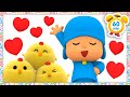️ Valentines Madness Chicks Dig Me Pocoyo English Official Channel Cartoons For Kids