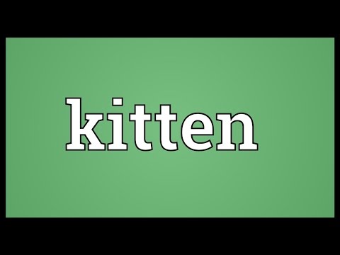 Kitten Meaning