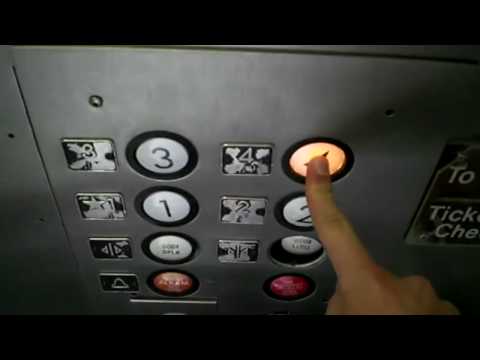 US Hydraulic Elevator at KFLL Palm Parking Garage - T3