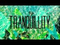 "Tranquillity" - Instrumental [Frank Ocean ft ...
