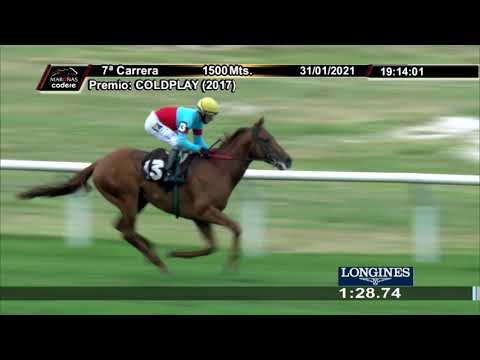 210131 c07 DON GATUNO (ARG)