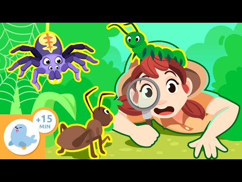 ARTHROPODS for children 🐝🕷🦋 Characteristics and curiosities
